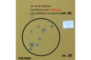 Гладкоцевни патрони BP Big Game Pallettoni - 37 гр, №11/0