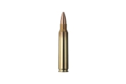 Нарезни патрони Geco Target FMJ - кал. 223 Rem., 4.1g/63 gr