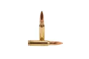 Нарезни патрони 308WIN Sig Sauer ELITE, 175 GR OTM